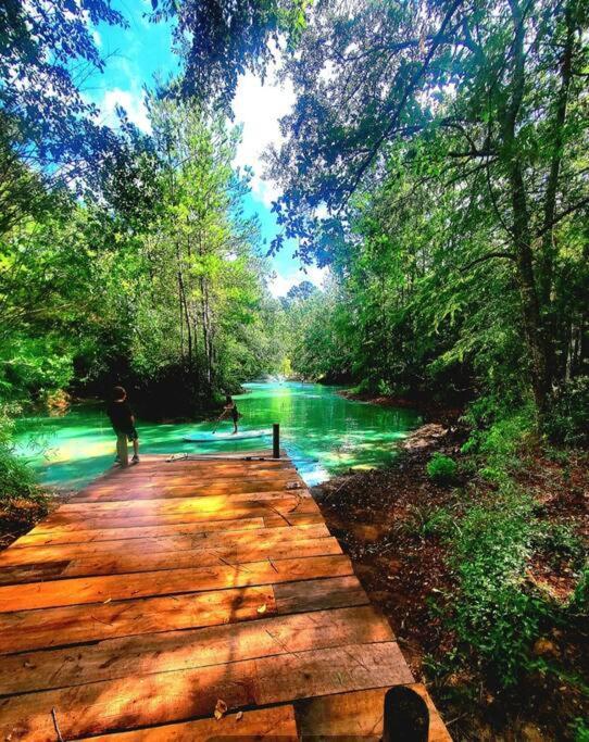 Waller Waterfront Houston Hide Out In A Magical Forest מראה חיצוני תמונה