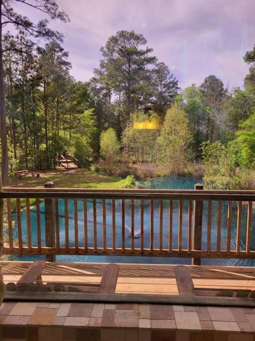 Waller Waterfront Houston Hide Out In A Magical Forest מראה חיצוני תמונה