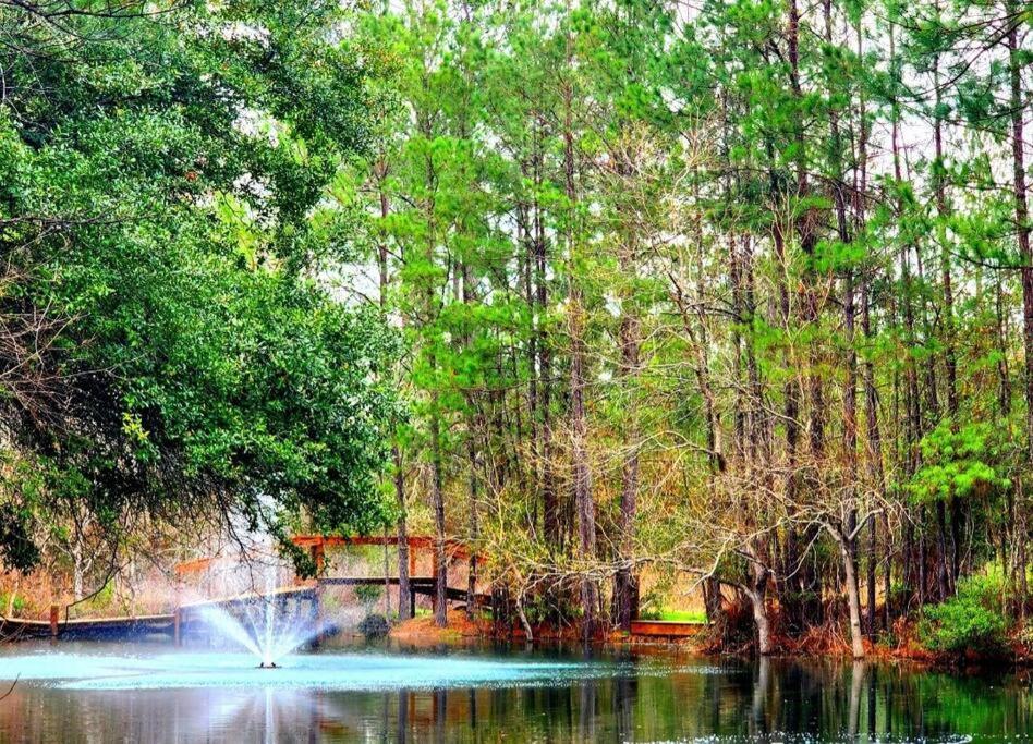 Waller Waterfront Houston Hide Out In A Magical Forest מראה חיצוני תמונה